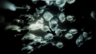 Depths of Possibility: Game Engines for Live Cinema Performance