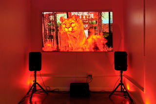 Alice Bucknell | The Alluvials [April 4th - May 4th, 2024]