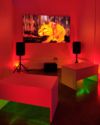 Alice Bucknell | The Alluvials [April 4th - May 4th, 2024]